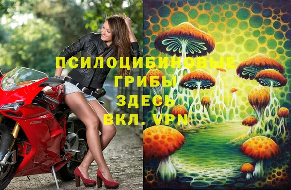 шишки Нязепетровск