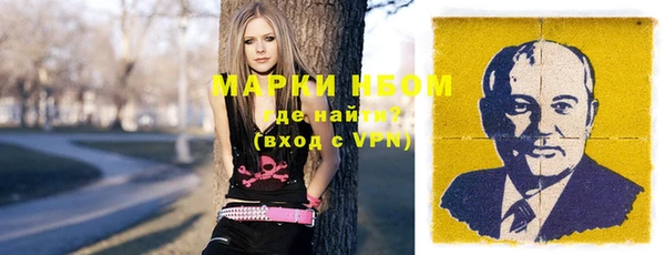 шишки Нязепетровск