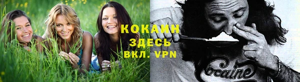 бошки Осташков