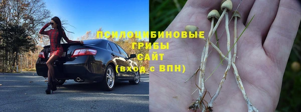 шишки Нязепетровск