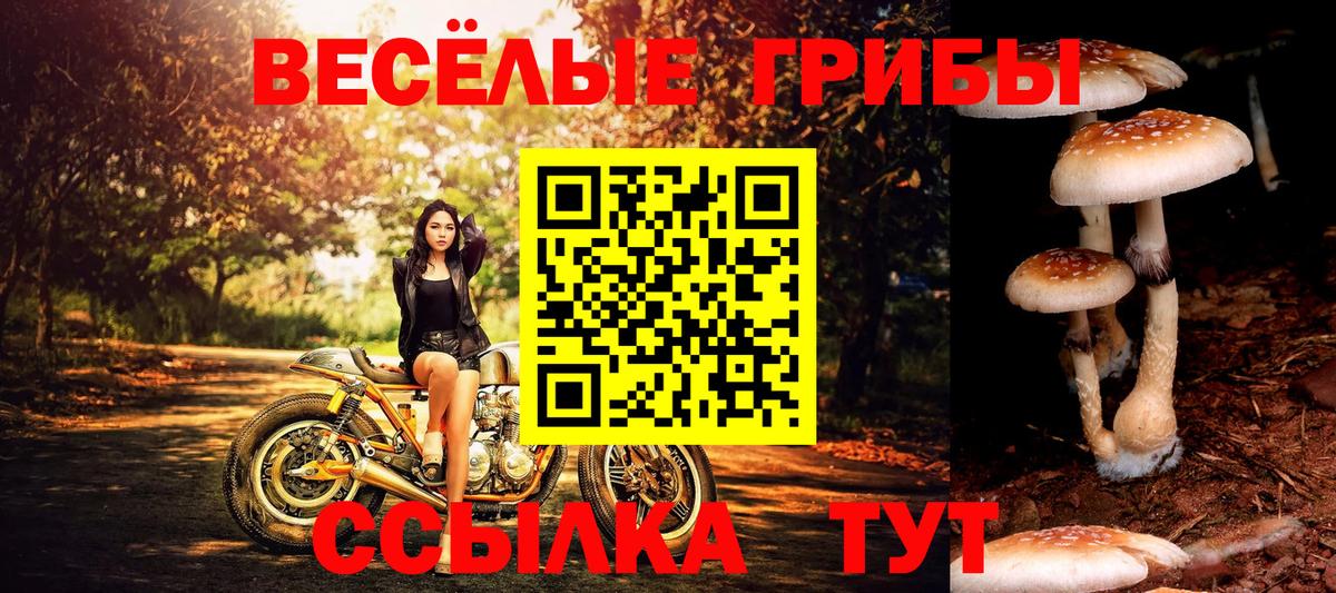 Красноперекопск  как найти закладки  Вход с VPN  Псилоцибиновые грибы мицелий  Галлюциногенные грибы ЛСД 